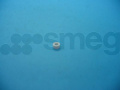 Smeg Washer - 767210240 White Washer